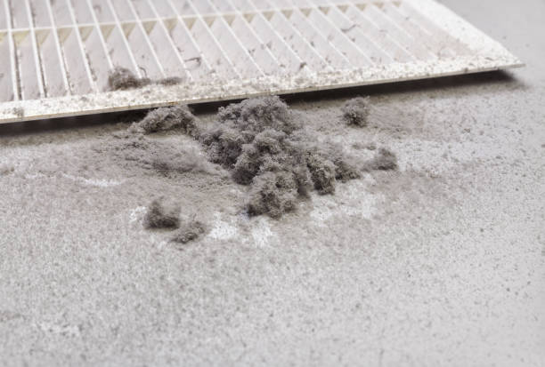 Best Home Air Vent Cleaning  in Norwood, NY