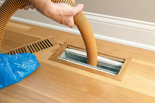 Best Local Air Duct Cleaning Services  in Norwood, NY